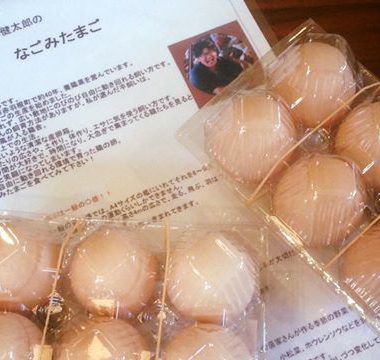 この夏の新たなご縁