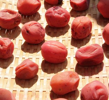 かぁやんの“こだわりの梅干し”作りワークショップ